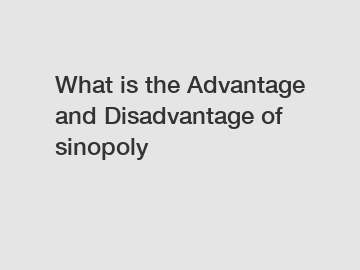 What is the Advantage and Disadvantage of  sinopoly