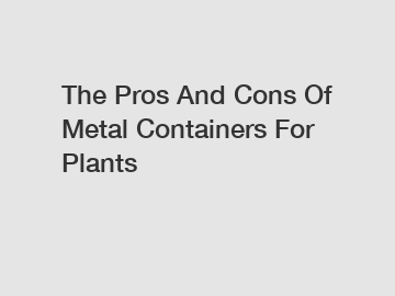 The Pros And Cons Of Metal Containers For Plants