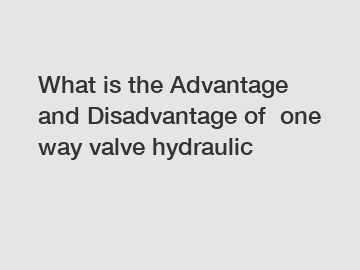 What is the Advantage and Disadvantage of  one way valve hydraulic