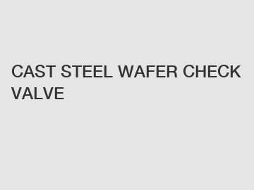 CAST STEEL WAFER CHECK VALVE