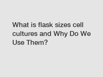 What is flask sizes cell cultures and Why Do We Use Them?