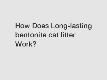 How Does Long-lasting bentonite cat litter Work?