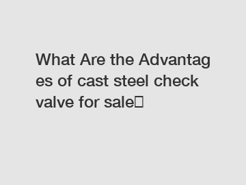 What Are the Advantages of cast steel check valve for sale？