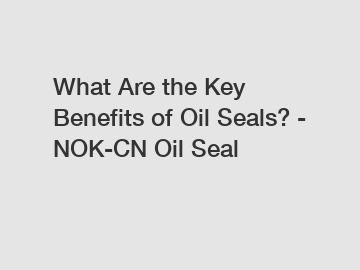 What Are the Key Benefits of Oil Seals? - NOK-CN Oil Seal