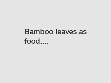 Bamboo leaves as food....