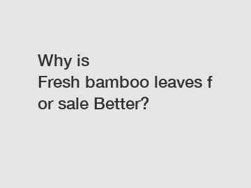 Why is Fresh bamboo leaves for sale Better?