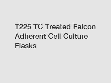 T225 TC Treated Falcon Adherent Cell Culture Flasks