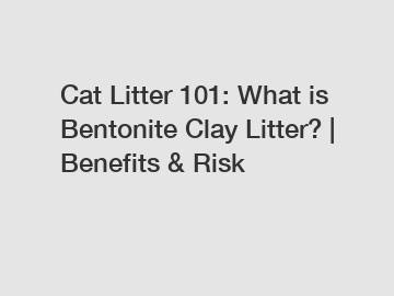 Cat Litter 101: What is Bentonite Clay Litter? | Benefits & Risk
