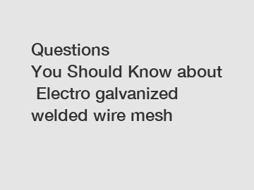 Questions You Should Know about Electro galvanized welded wire mesh