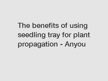 The benefits of using seedling tray for plant propagation - Anyou