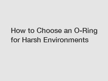 How to Choose an O-Ring for Harsh Environments