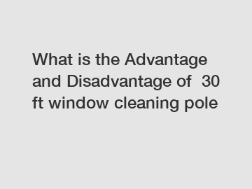 What is the Advantage and Disadvantage of  30 ft window cleaning pole