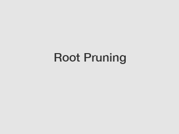Root Pruning