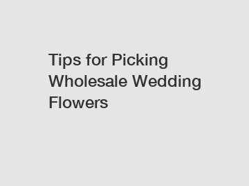 Tips for Picking Wholesale Wedding Flowers