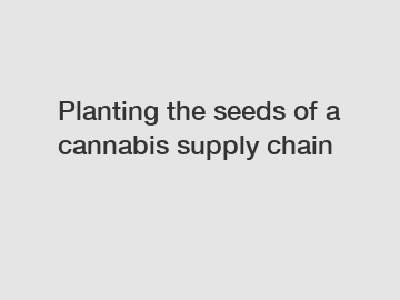 Planting the seeds of a cannabis supply chain