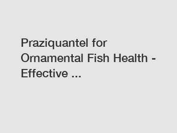 Praziquantel for Ornamental Fish Health - Effective ...