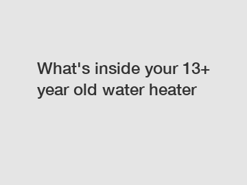What's inside your 13+ year old water heater