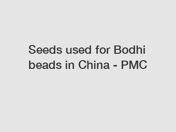 Seeds used for Bodhi beads in China - PMC