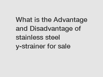 What is the Advantage and Disadvantage of  stainless steel y-strainer for sale