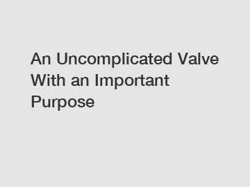 An Uncomplicated Valve With an Important Purpose