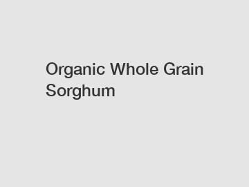 Organic Whole Grain Sorghum