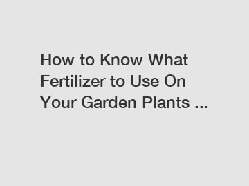 How to Know What Fertilizer to Use On Your Garden Plants ...