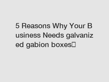 5 Reasons Why Your Business Needs galvanized gabion boxes？