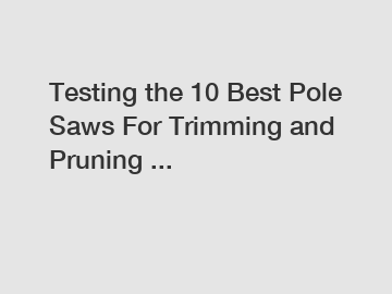 Testing the 10 Best Pole Saws For Trimming and Pruning ...