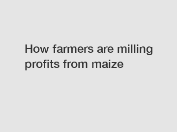 How farmers are milling profits from maize