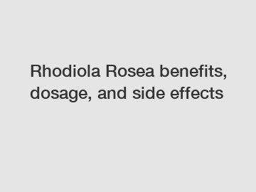 Rhodiola Rosea benefits, dosage, and side effects