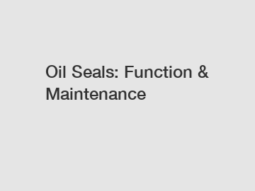 Oil Seals: Function & Maintenance