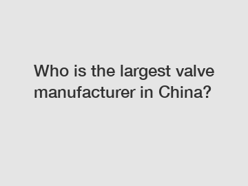Who is the largest valve manufacturer in China?