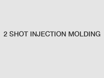 2 SHOT INJECTION MOLDING