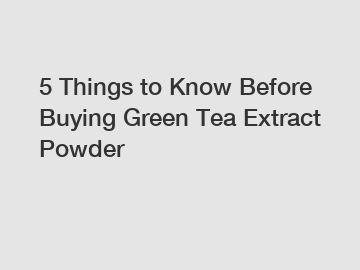 5 Things to Know Before Buying Green Tea Extract Powder