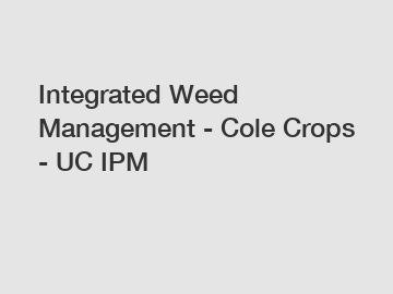 Integrated Weed Management - Cole Crops - UC IPM