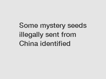 Some mystery seeds illegally sent from China identified