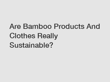 Are Bamboo Products And Clothes Really Sustainable?