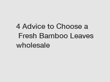 4&nbsp;Advice&nbsp;to&nbsp;Choose&nbsp;a&nbsp;Fresh Bamboo Leaves wholesale