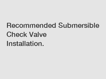 Recommended Submersible Check Valve Installation.