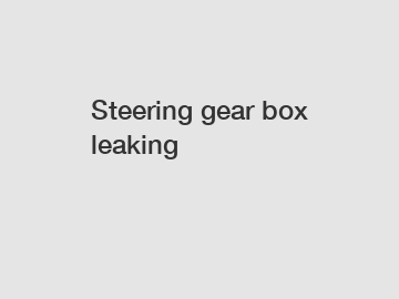 Steering gear box leaking