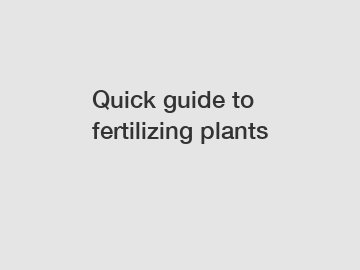 Quick guide to fertilizing plants