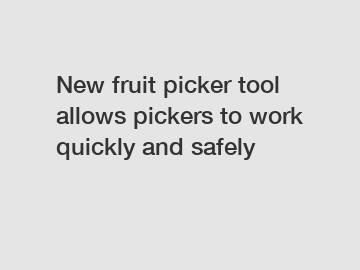 New fruit picker tool allows pickers to work quickly and safely