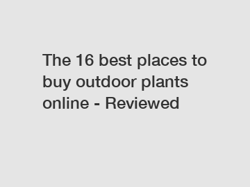 The 16 best places to buy outdoor plants online - Reviewed