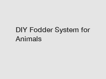 DIY Fodder System for Animals