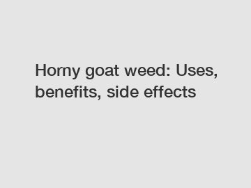 Horny goat weed: Uses, benefits, side effects