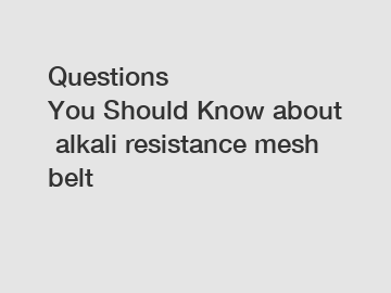 Questions You Should Know about alkali resistance mesh belt