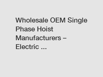 Wholesale OEM Single Phase Hoist Manufacturers &ndash; Electric ...