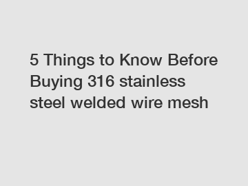 5 Things to Know Before Buying 316 stainless steel welded wire mesh