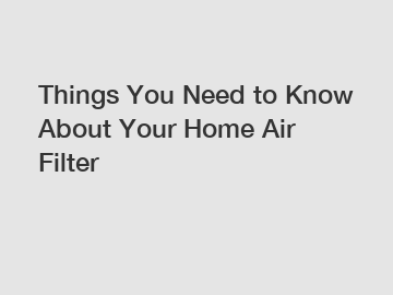 Things You Need to Know About Your Home Air Filter