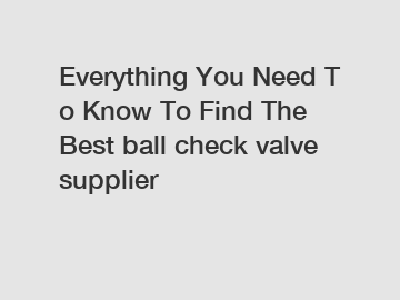Everything&nbsp;You&nbsp;Need&nbsp;To&nbsp;Know&nbsp;To&nbsp;Find&nbsp;The&nbsp;Best&nbsp;ball check valve supplier